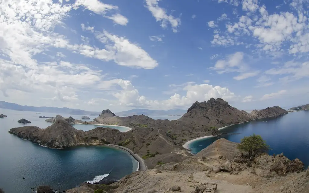 The curving bays and dry brown ridges of Padar Island seen from the hill trail, Komodo National Park.