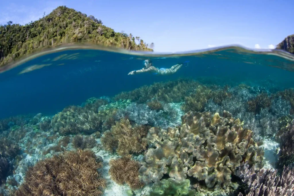 Best Budget Kanawa Island Snorkeling Trip 2027