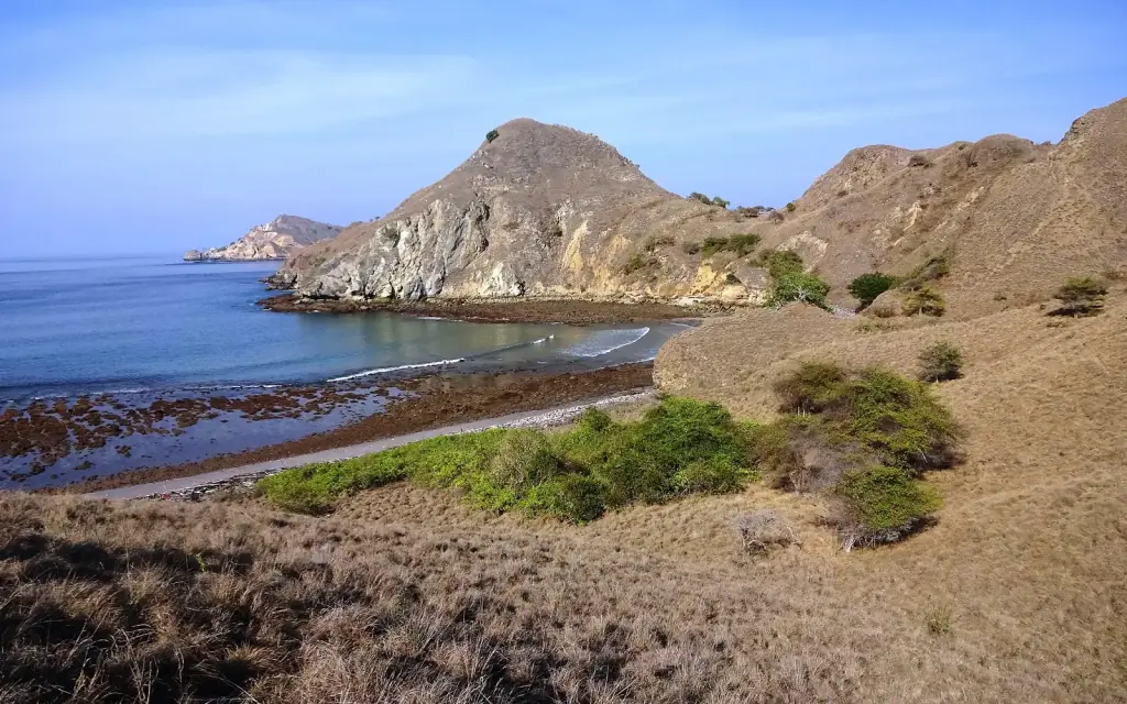 Sun-bleached grass and bare hills above a sheltered bay on Padar Island at the height of the dry season.
