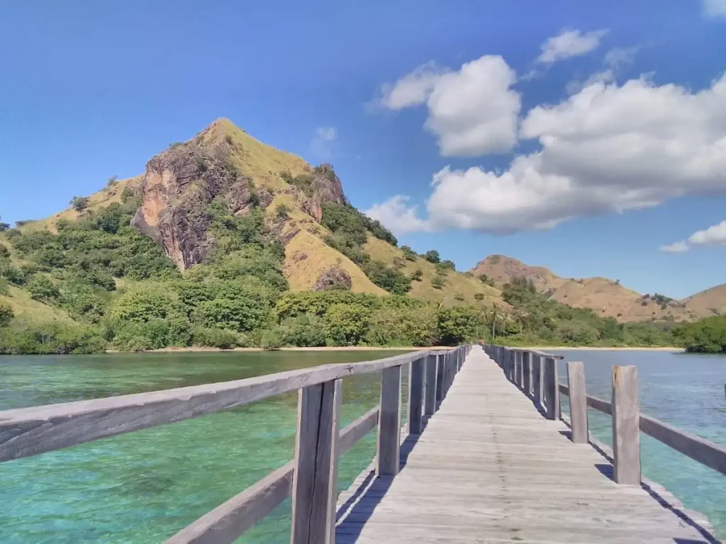 Best Season for Kanawa Island Coral Reef Visibility 2027