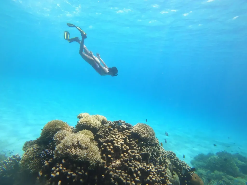 What Is the Best Time to Visit Kanawa Island for Snorkeling?