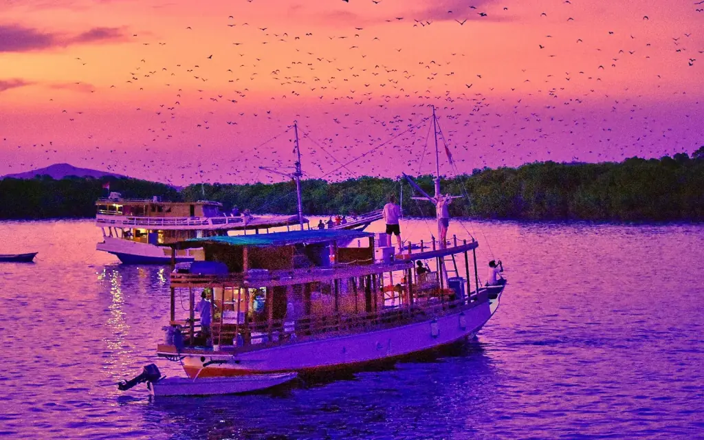A wooden phinisi lit up at dusk off Labuan Bajo as fruit bats stream across a pink sky.