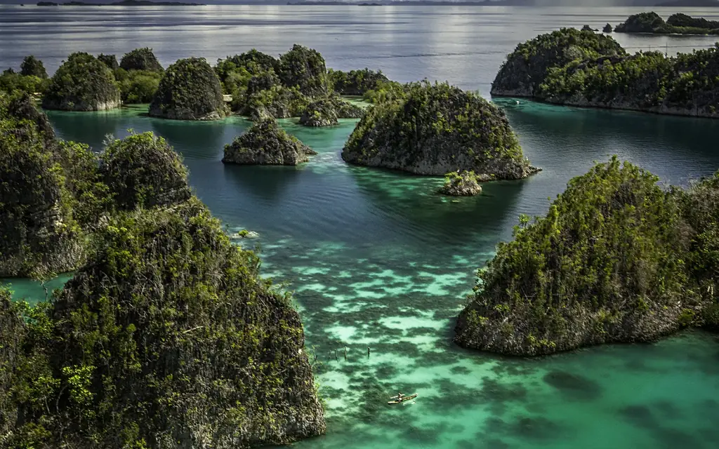 The karst islets and shallow green lagoons of Piaynemo, Raja Ampat.