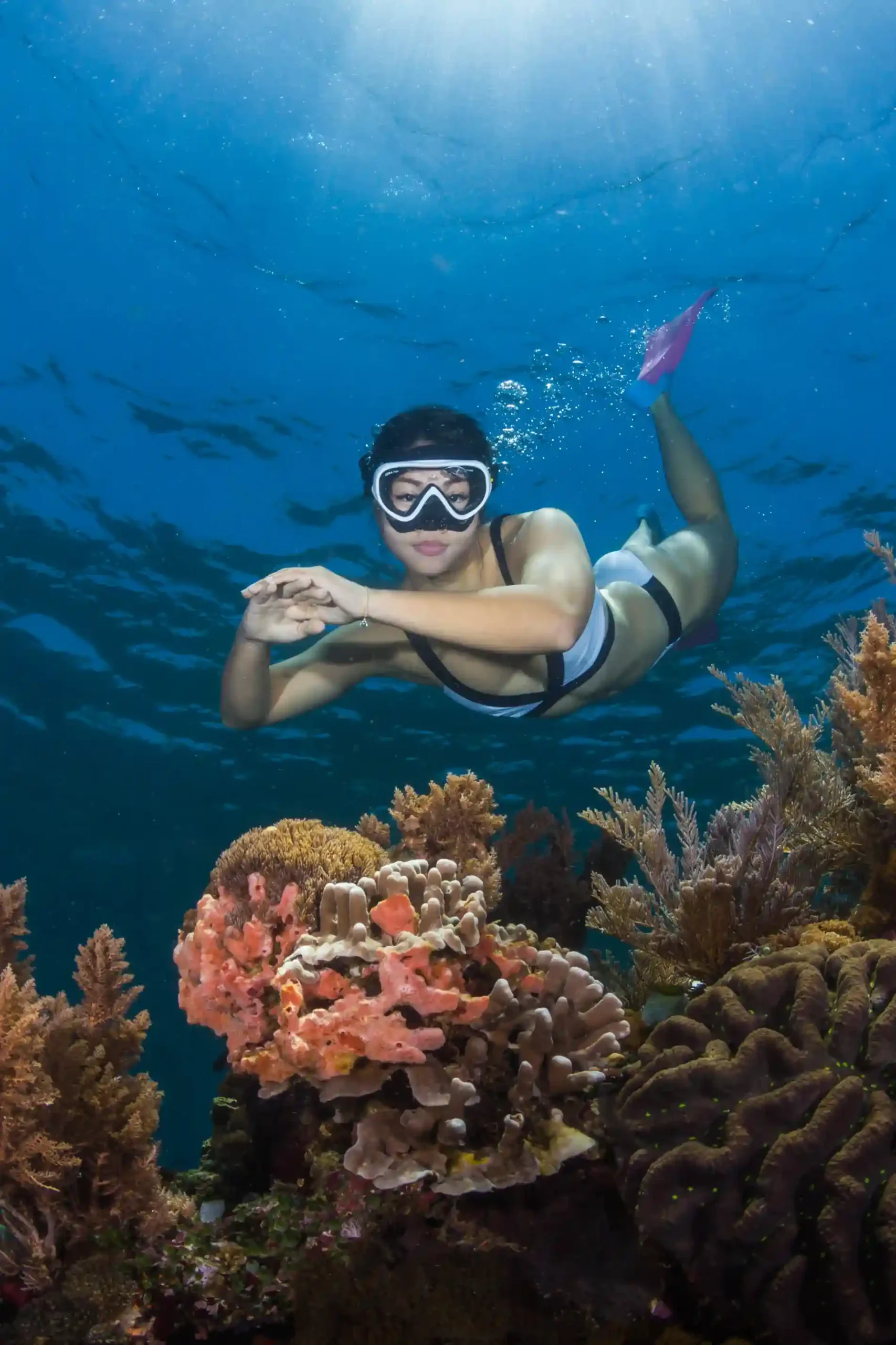 Kanawa Island Snorkeling Guide: Reef, Marine Life, Best Spots