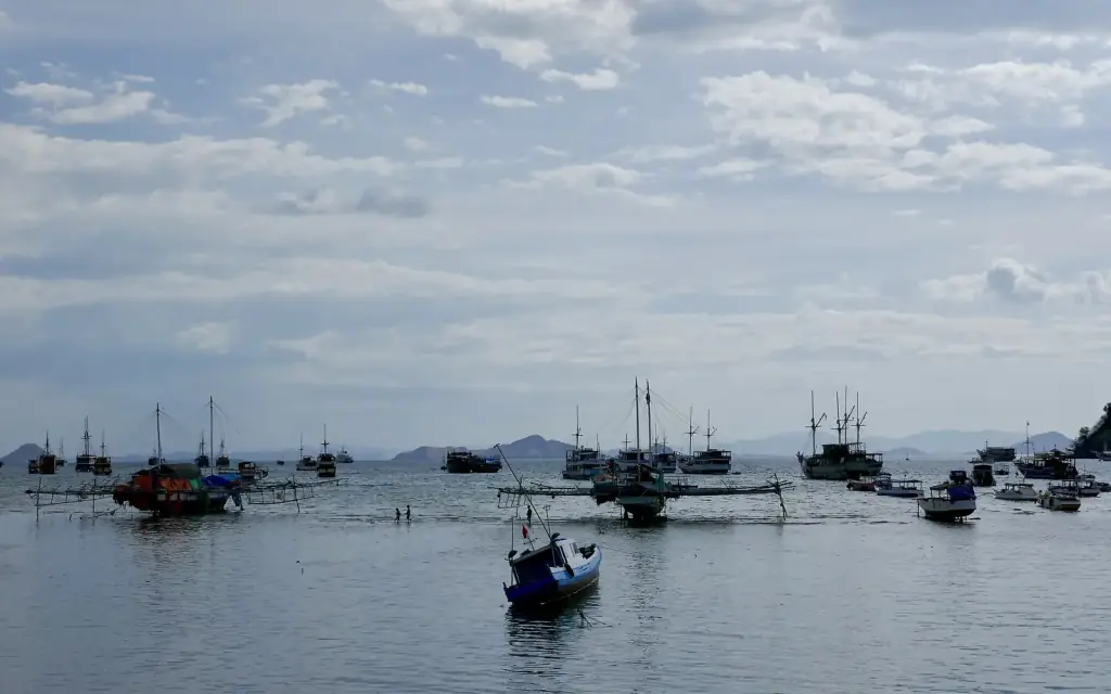 Dozens of wooden boats moored together in Labuan Bajo harbour under a cloudy sky.
