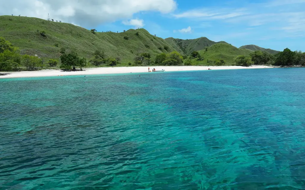 A gently shelving white beach backed by low green hills, with very shallow clear water over sand at Pink Beach, Komodo.