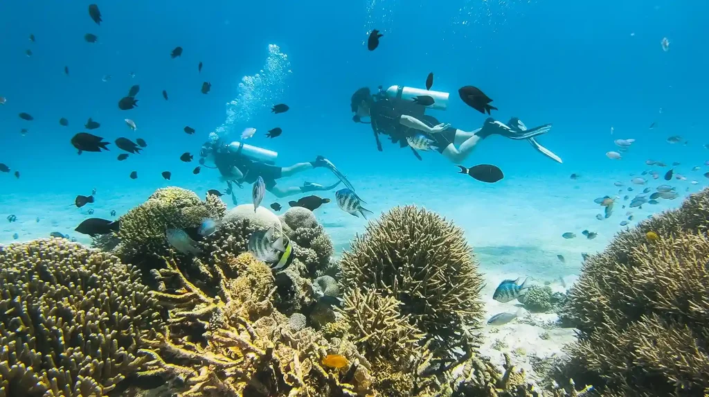 Kanawa Island vs Other Komodo Islands: Best Day Trip from Labuan Bajo