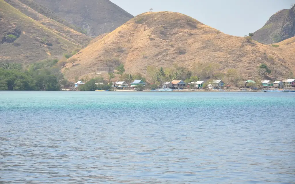 A coastal settlement below dry hills seen from the water on the boat route to Rinca.