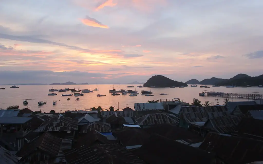 Corrugated rooftops of Labuan Bajo in the foreground and the harbour full of boats at first light.