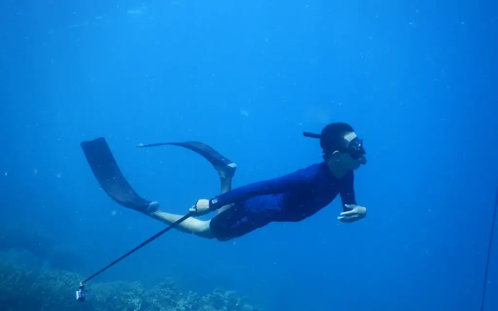 A freediver in a wetsuit gliding over a reef in clear blue water at Karimunjawa.