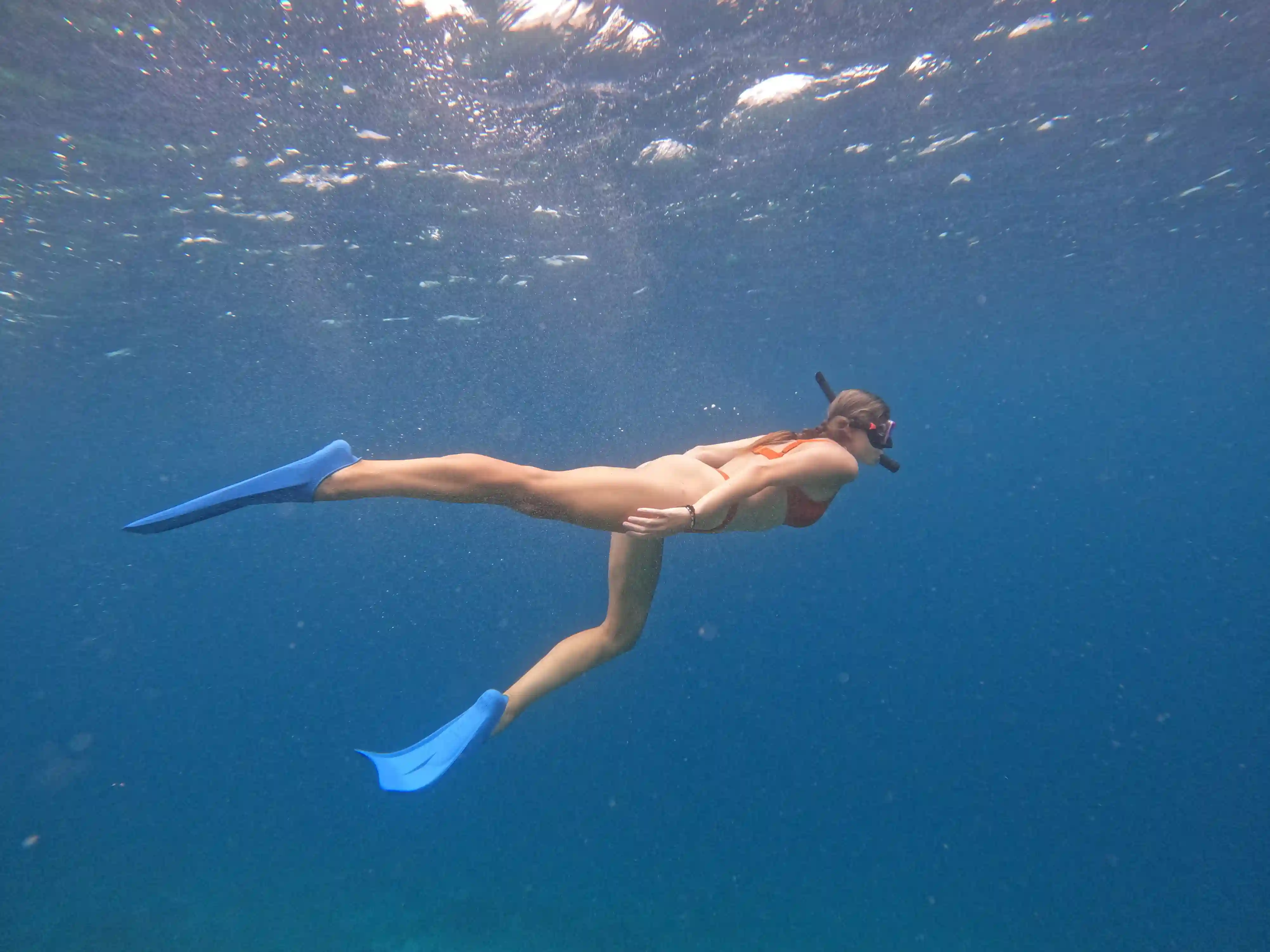 The house reef