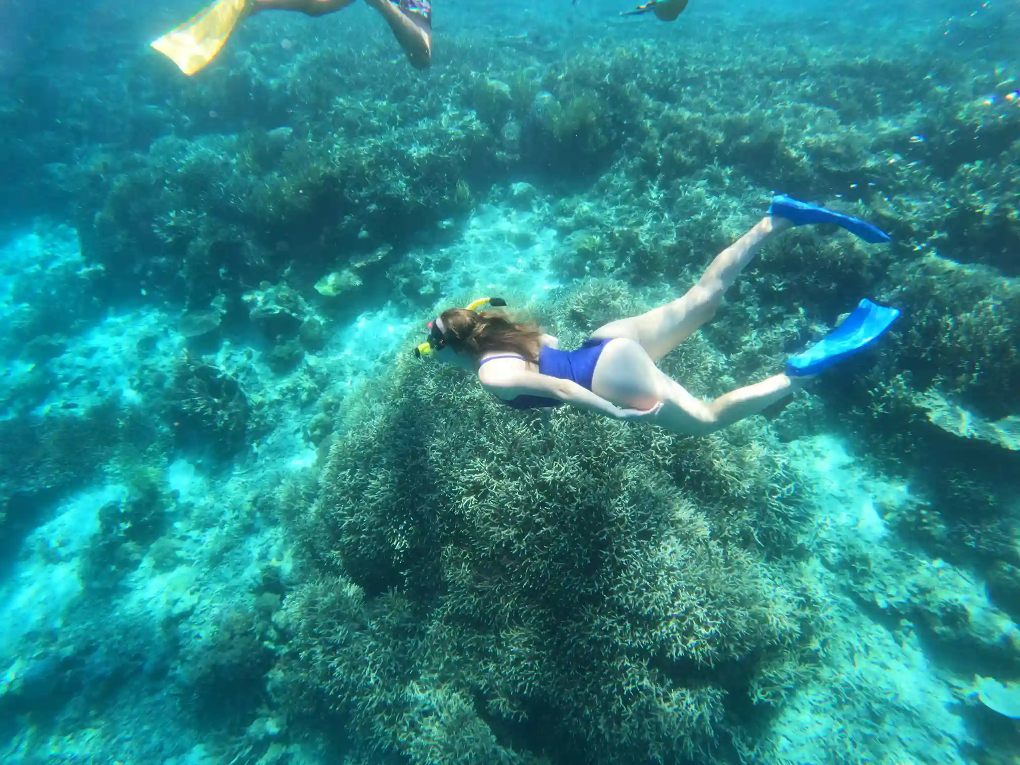 Snorkelling Tour