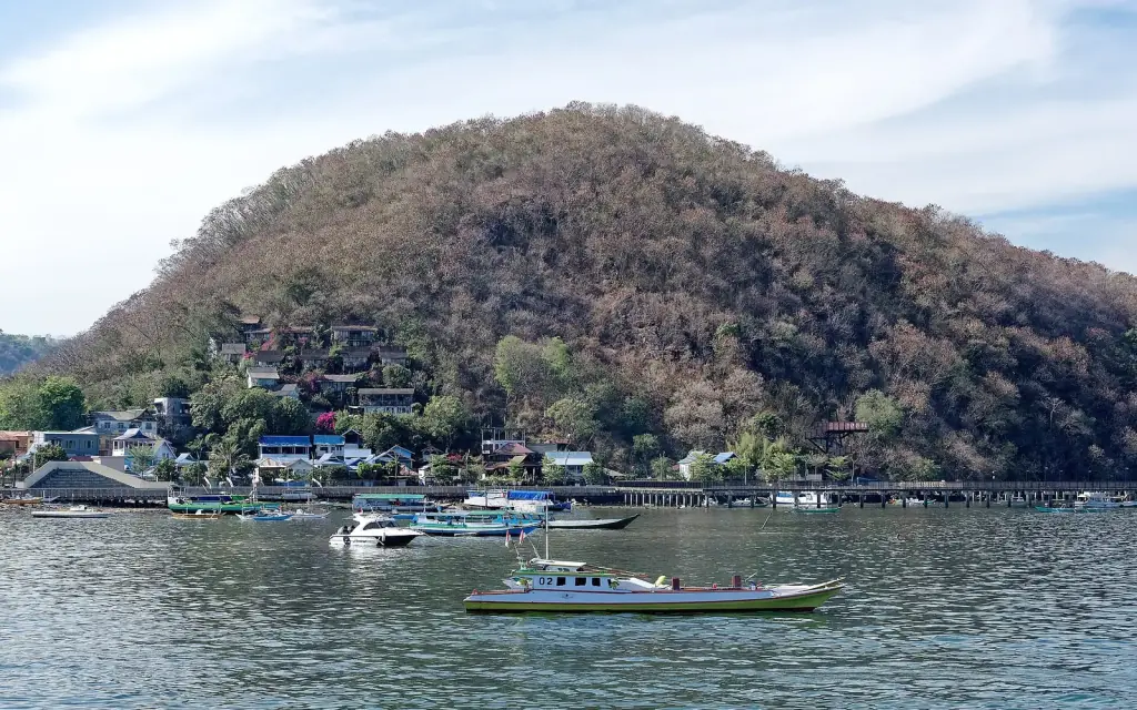Boats moored below the hillside houses of Labuan Bajo on the west coast of Flores.