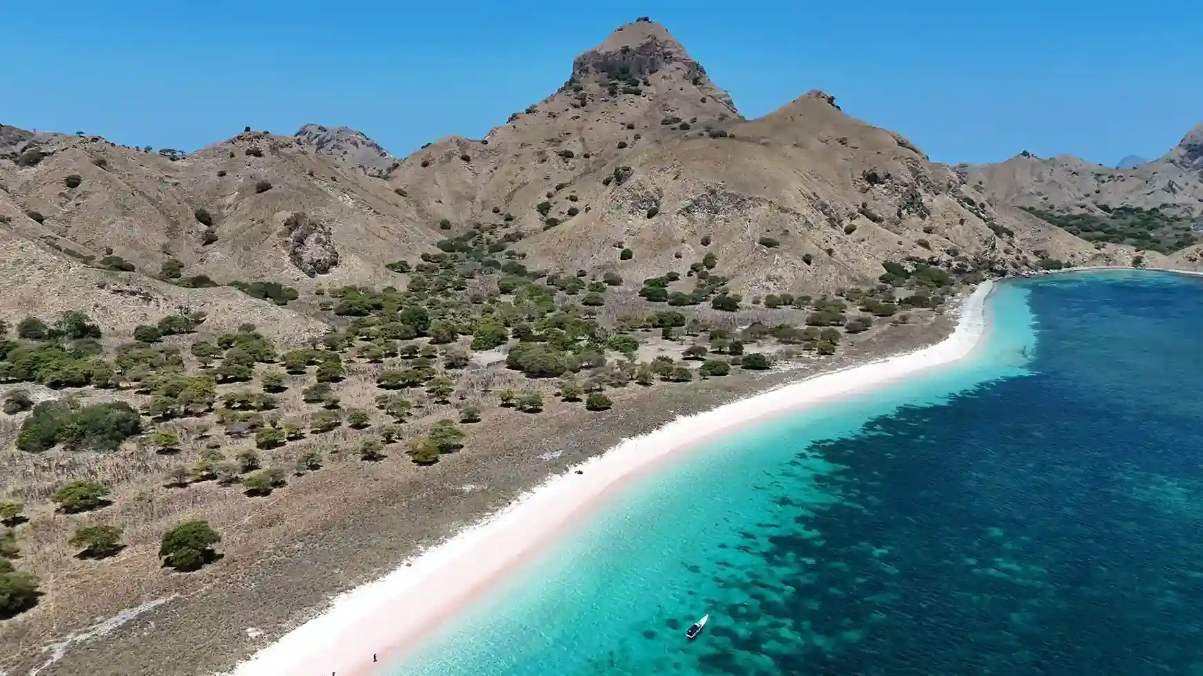 Kanawa, Padar & Pink Beach Day Tour with Manta Point