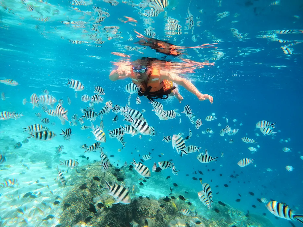 Phinisi Day Charter to Kanawa Island & Komodo