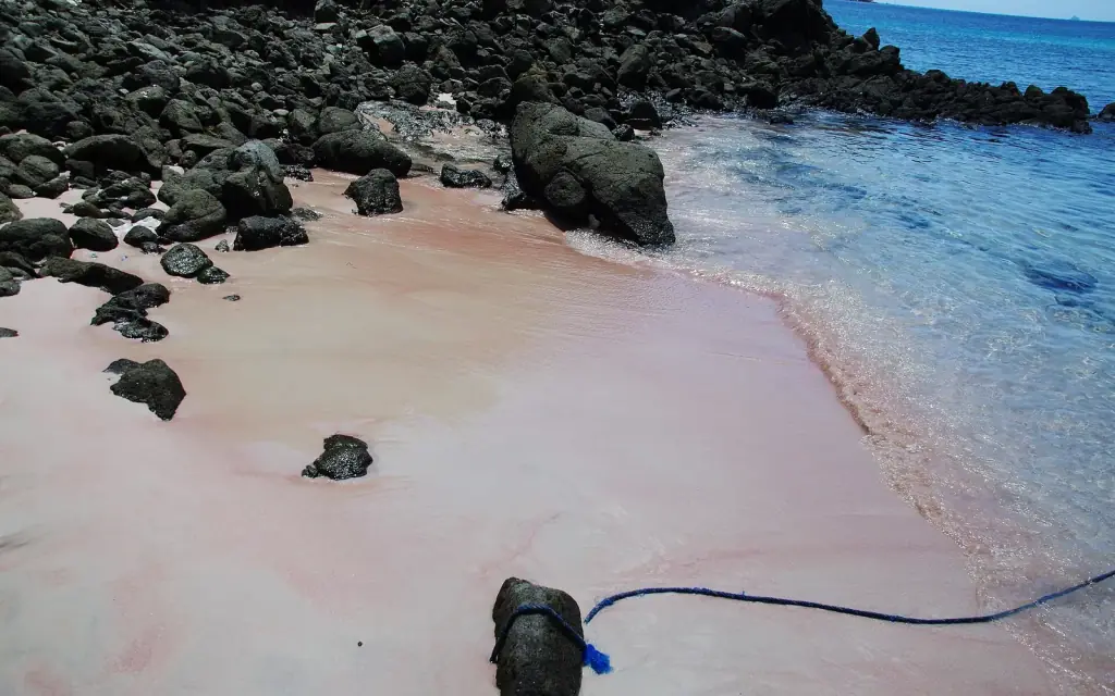 Pink sand and black volcanic rocks at the water's edge on Pink Beach, Komodo.