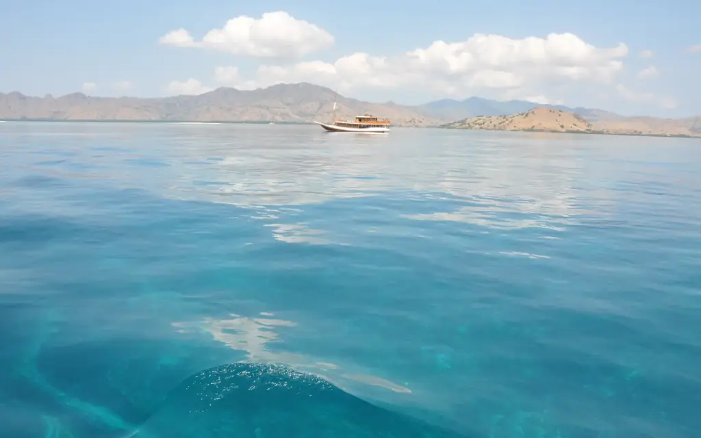 Snorkellers in the water at a stop on a Komodo National Park boat trip.