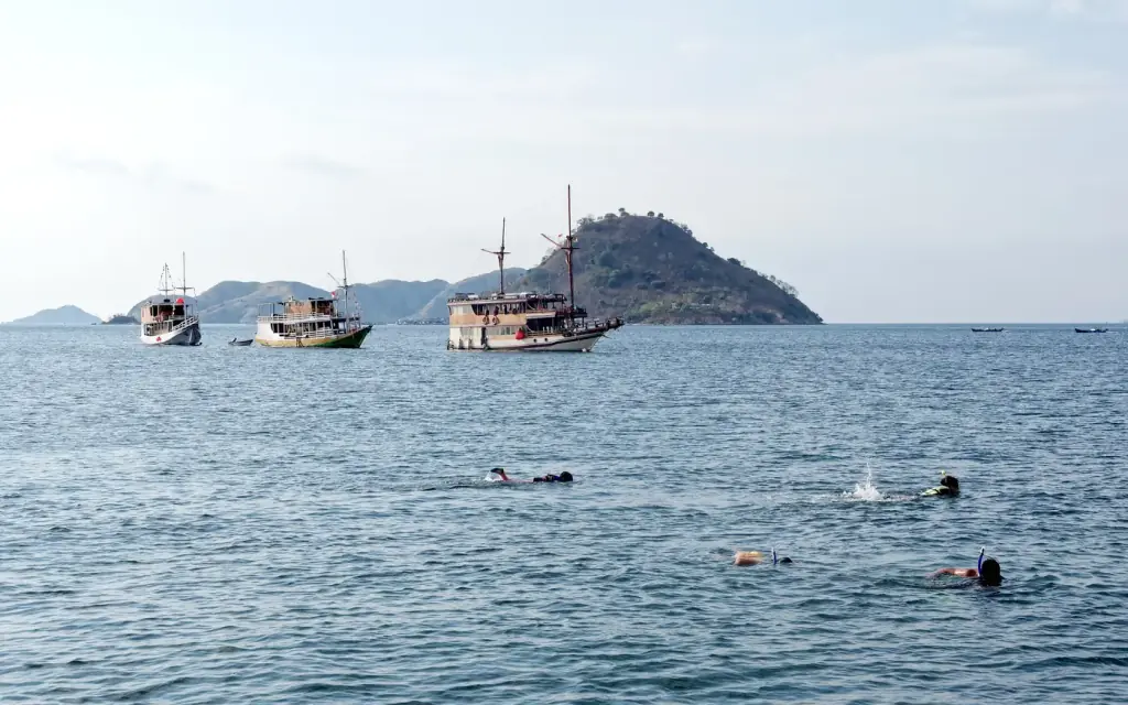 Snorkellers in shallow water near Manjarite Beach on the west coast of Flores.