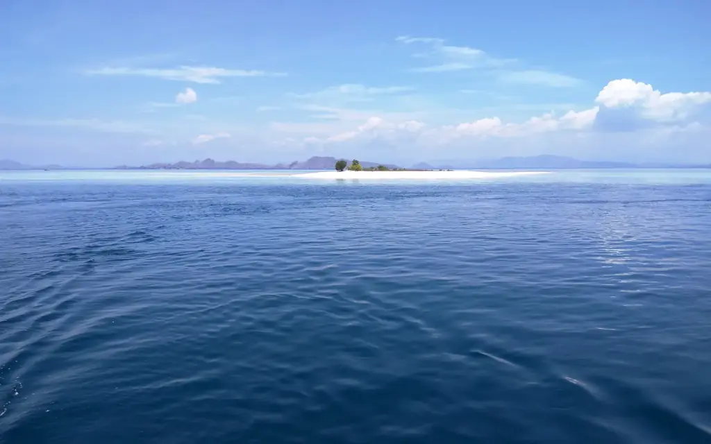 Taka Makassar, a low sandbar in Komodo National Park that surfaces as the tide drops.