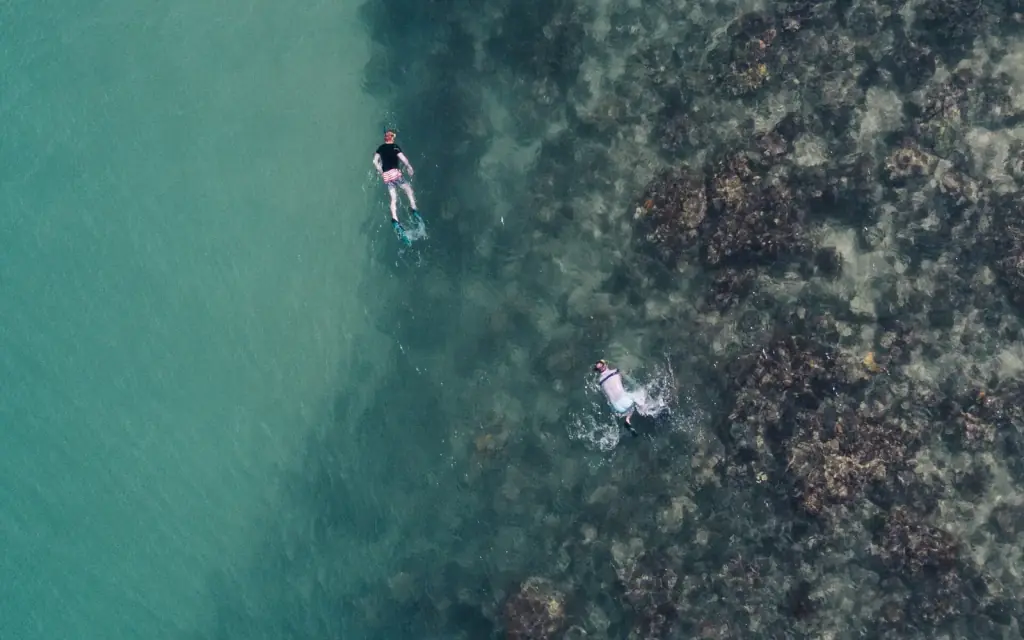 Two snorkellers seen from directly above, floating over a dark reef in clear green water.