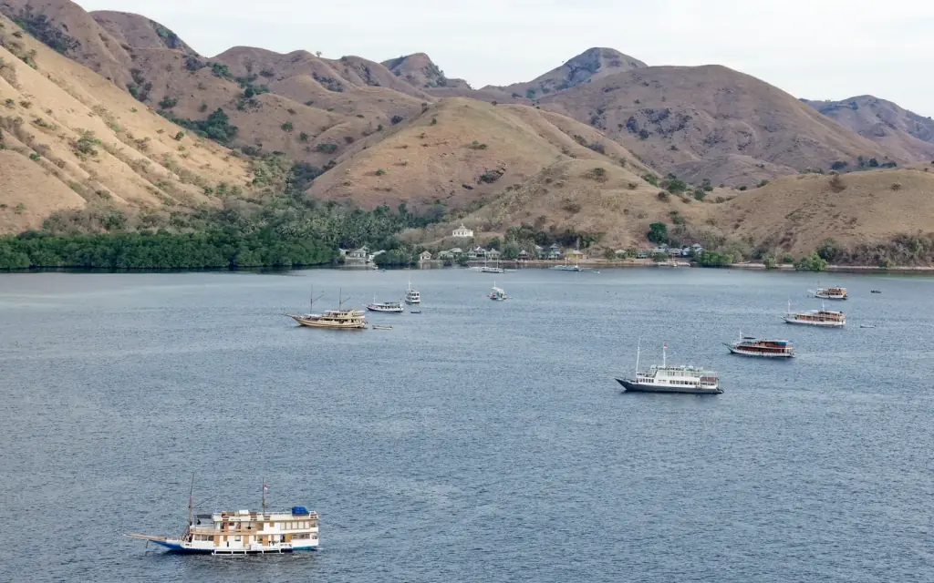 The view from the hill on Kelor Island looking out towards the west coast of Flores.
