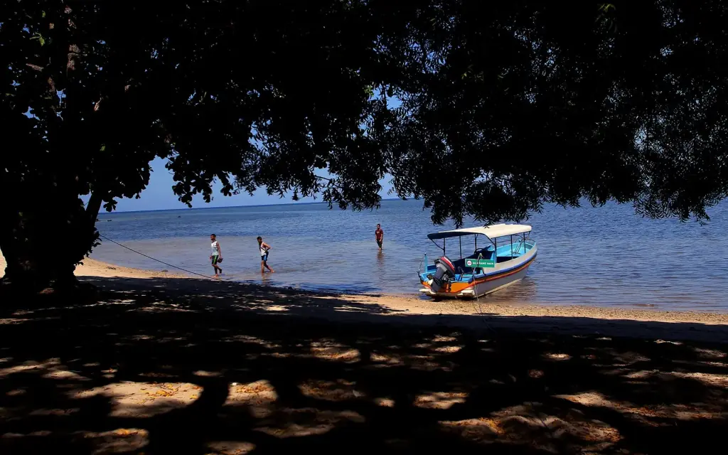 A canopied wooden boat pulled up on a shaded beach with people wading in the shallows, Baluran.